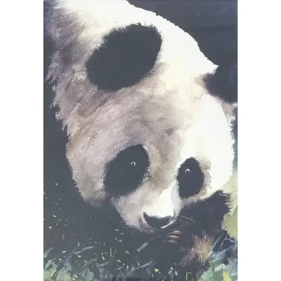 Dong Liang Yuan Set of 4 Framed & Matted Small Signed “Panda” Prints 10”X8”